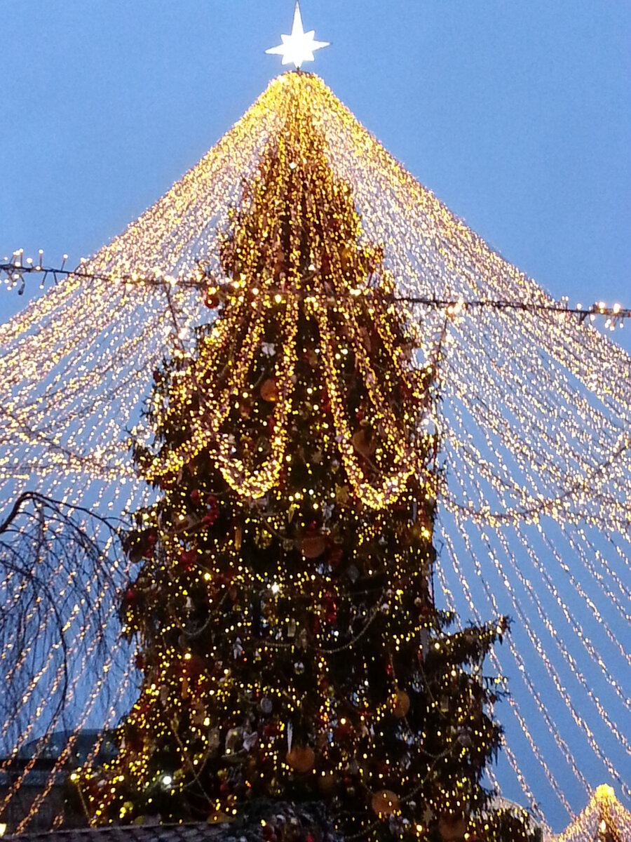 Елка красивая(Личное фото)