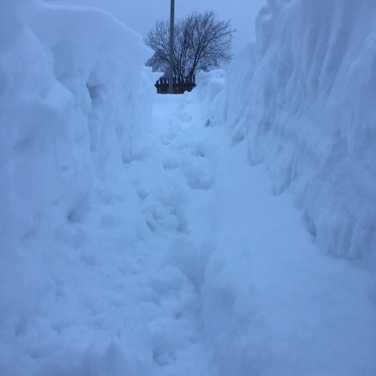 Снега по шею, роем траншею