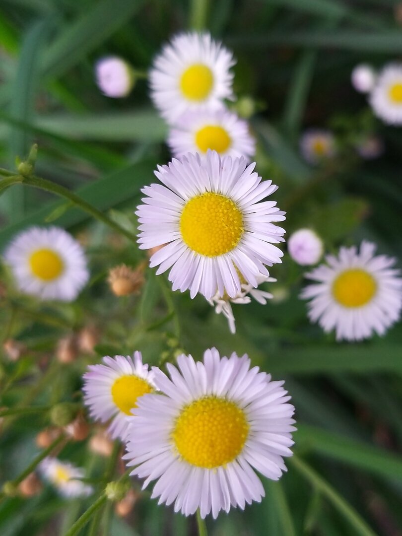  *                                                                                             Фото автора статьи