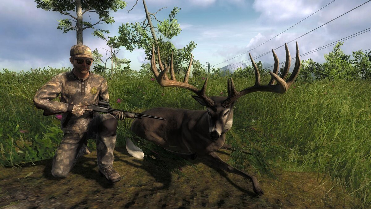 Неад hunter. Симулятор охоты 2021. Зе Хантер 2009. Hunter охота 2009. Охотник the Hunter, 2011.