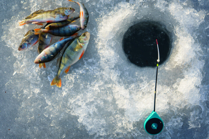 Как правильно заморозить рыбу, чтобы хранить в морозильнике?