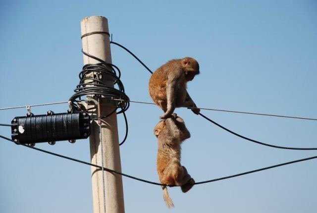 фото из открытых источников