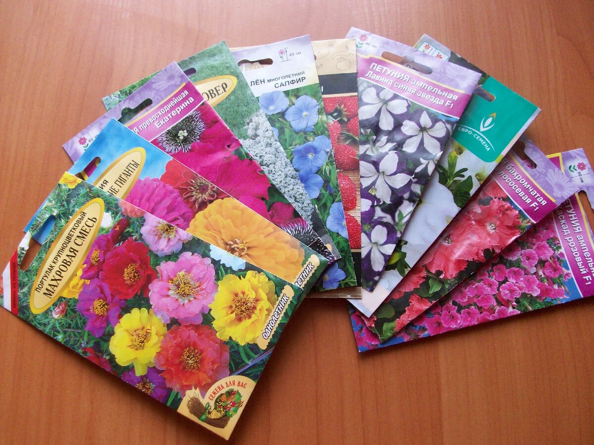 Рука не поднимается их выбрасывать. Яркие картинки и качество бумаги отменное