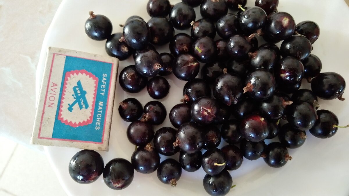 Ягоды крупные и без картофельных очисток.