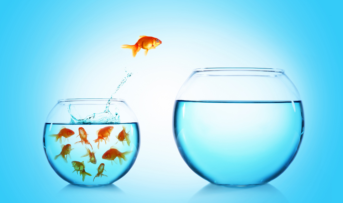 Фото взято с this.deakin.edu.au и принадлежит автору