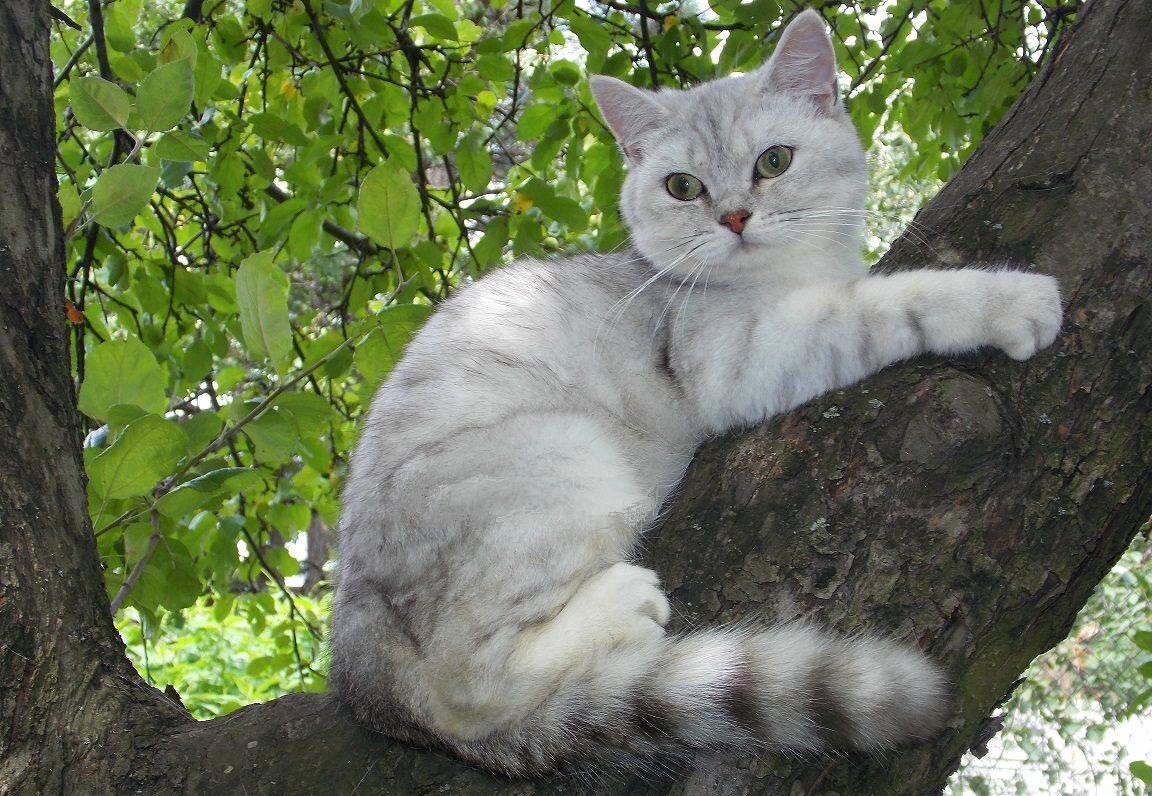 Фото автора истории. 