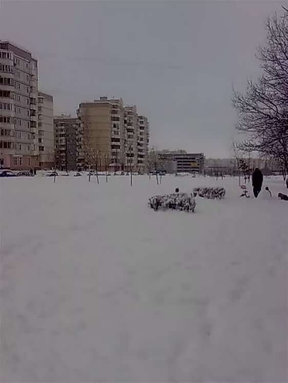 Южное Бутово.