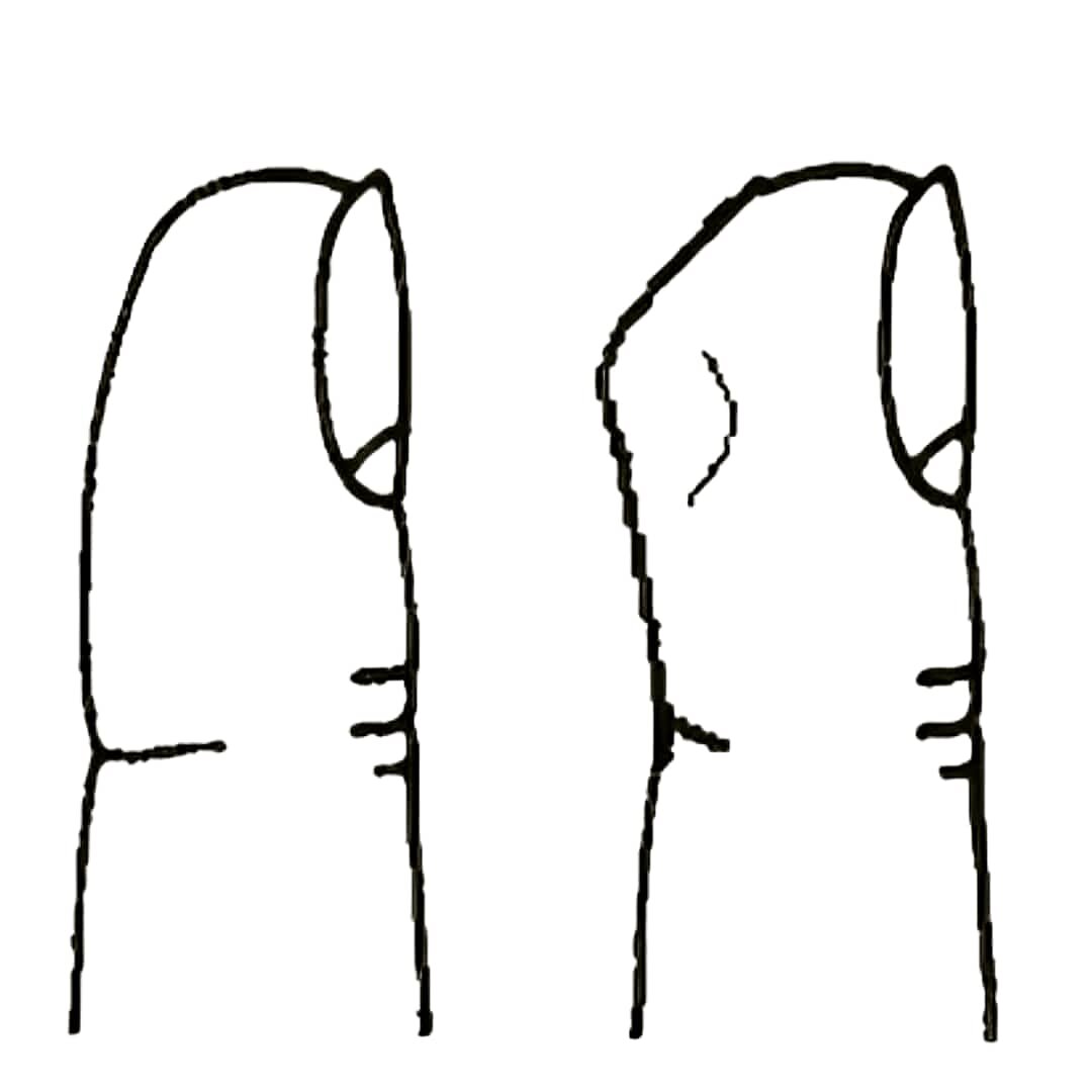 -2