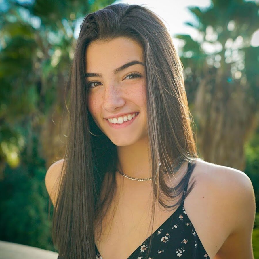 Настоящее имя	Чарли Дамелио 
Дата рождения	01.05.2004 г
Место рождения	Коннектикут, Соединенные Штаты Америки
Рост	163 см
Вес	                  50 кг
Знак зодиака	Телец
Тик Ток	                       https://www.tiktok.com/@charlidamelio
Инстаграм	     https://www.instagram.com/charlidamelio
