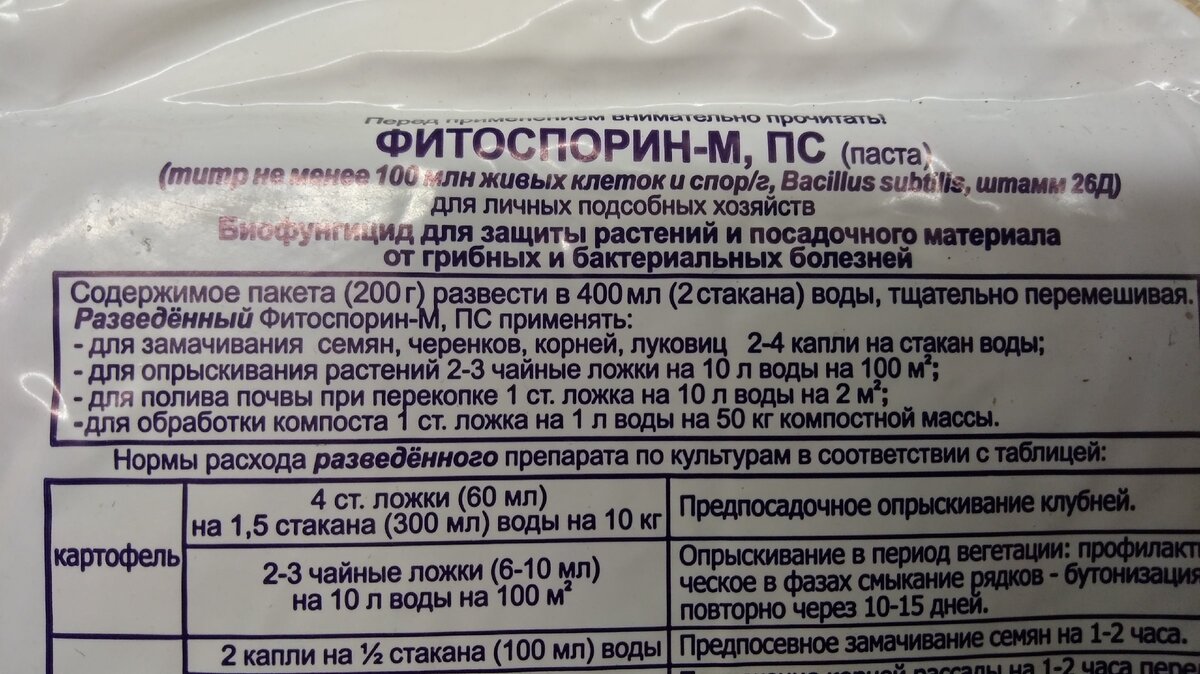 Как правильно развести фитоспорин, чтобы не потерять его свойства | Посад |  Дзен