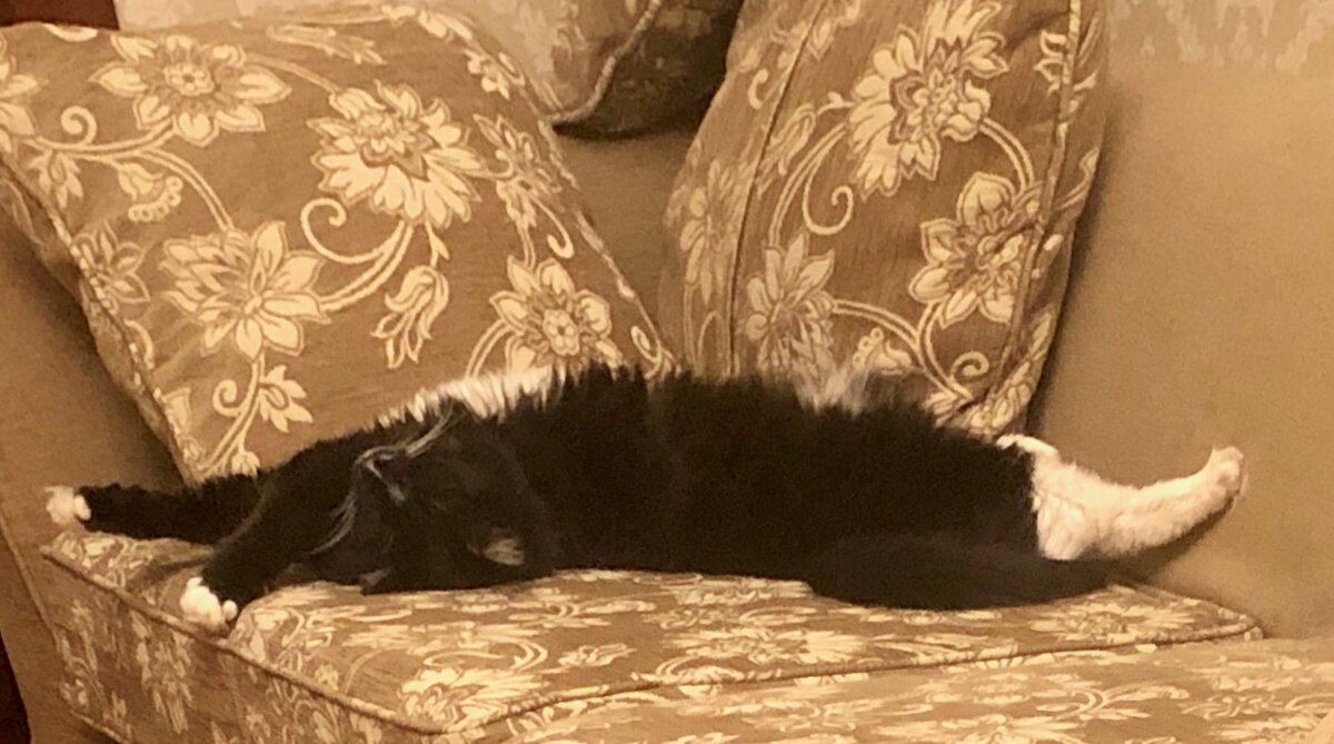 Создавать уют - главный тренд весны 2020