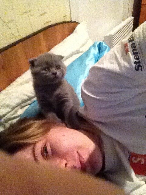 Малыш любимый