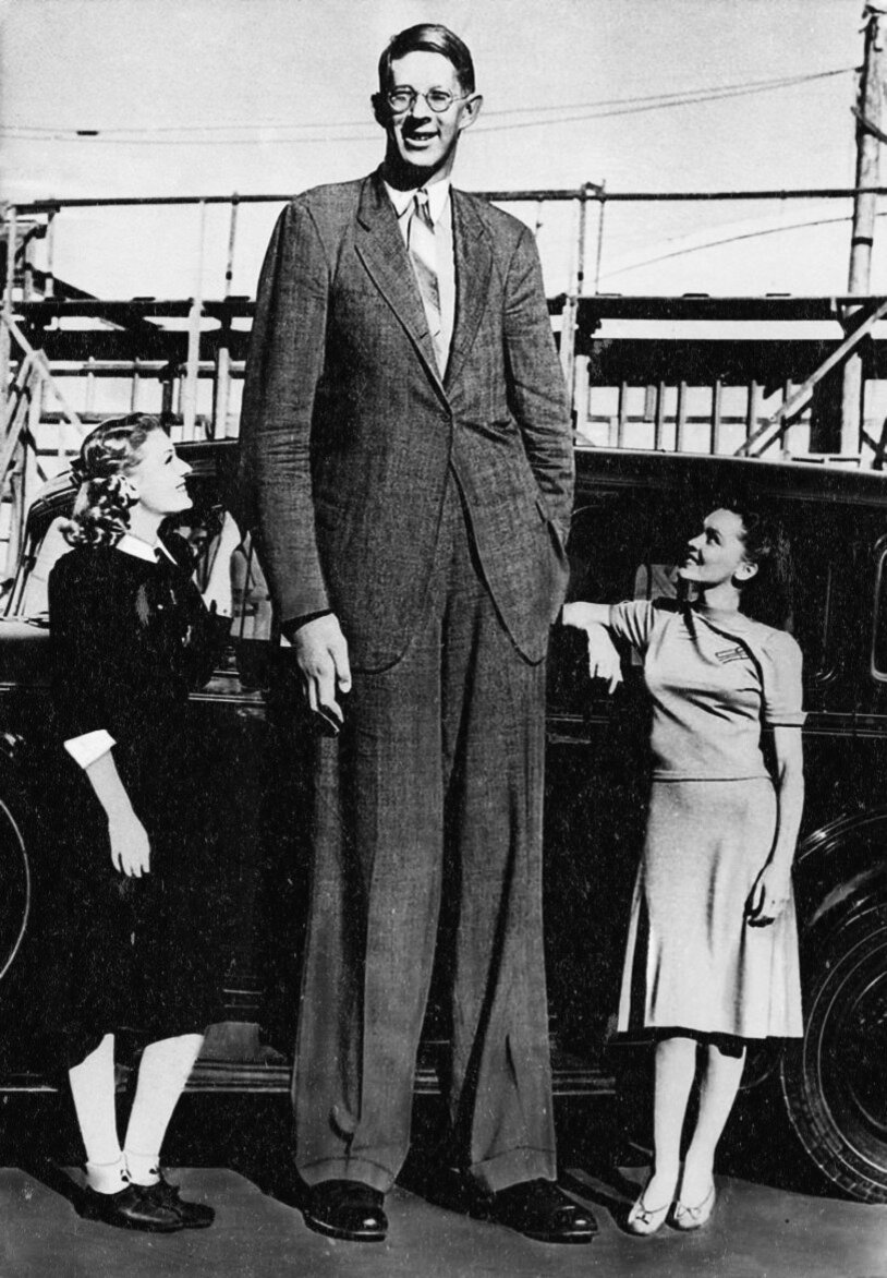 Роберт Першинг Уодлоу: Печальная участь самого высокого человека в истории