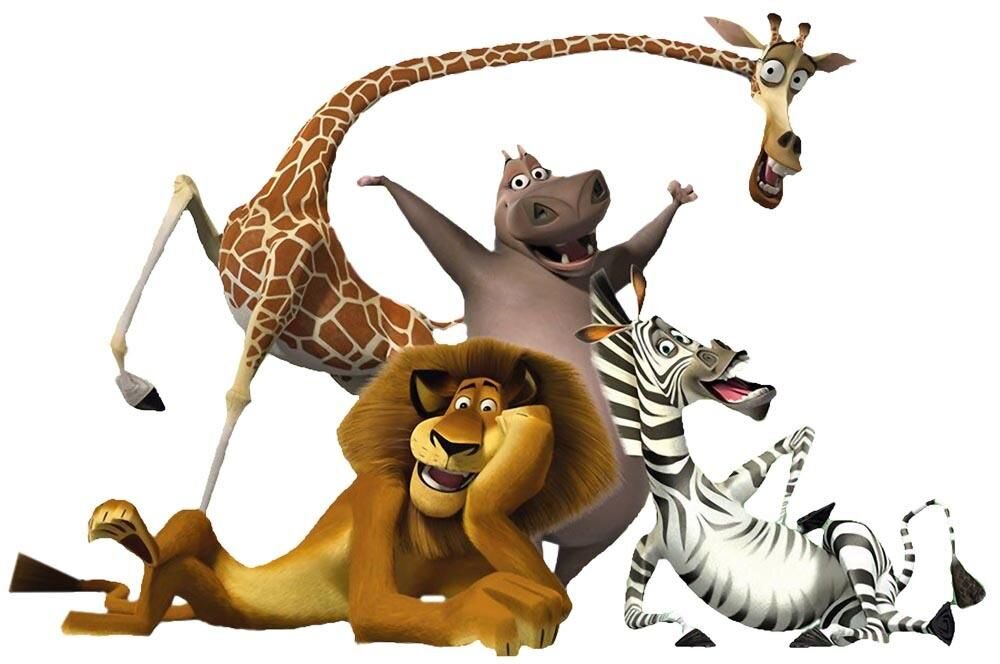 Путешествие по Мадагаскару🦥