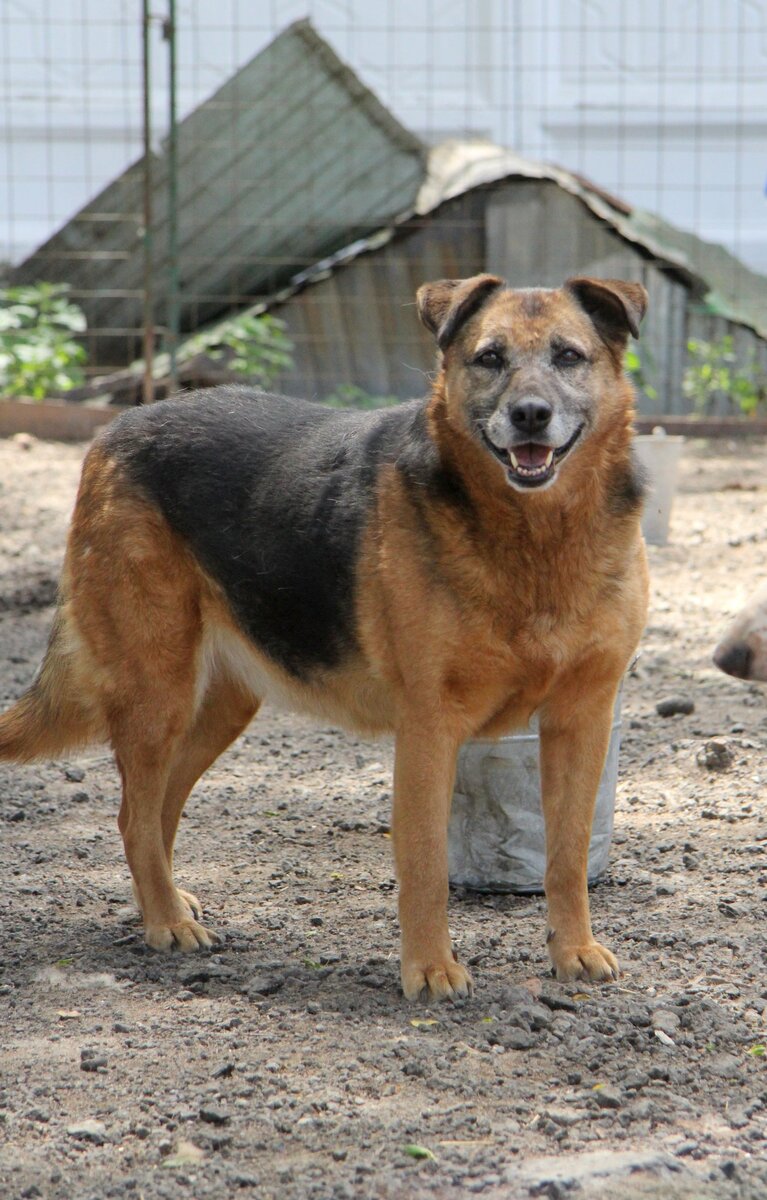 Вот такая Джина была раньше