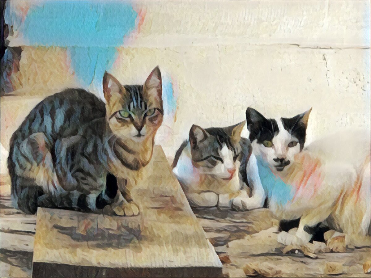 Барсик был похож на кота, что посередине. Фоток его не сохранилось. Да и не было тогда привычки фотографировать все подряд. Да и мобильников тоже еще не было...