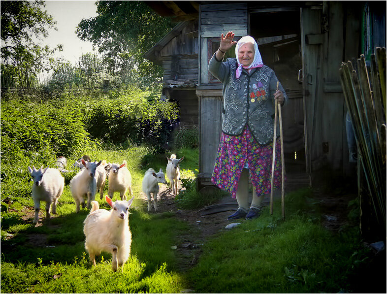 Фото с Яндекс картинок.