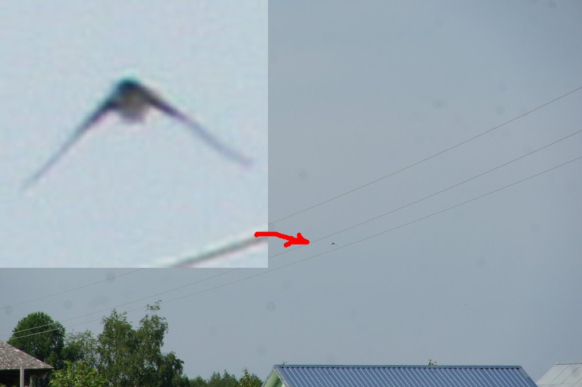 Завидовский заповедник 31.05.2013