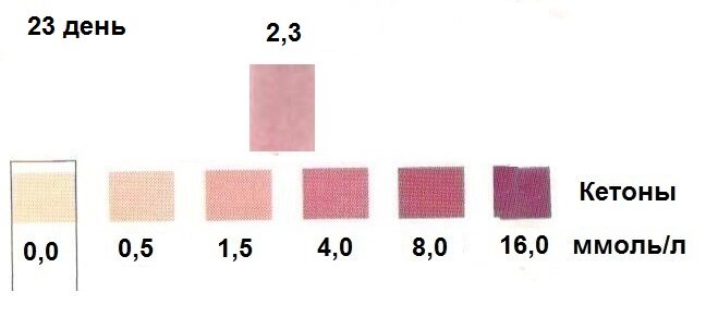 Кетоны - эталонная полоска и тест-полоска 23 дня