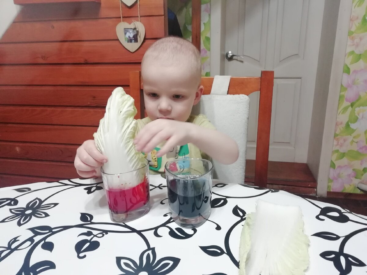 Эксперимент с листьями пекинской капусты.