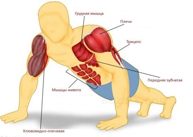 Подтягивания и отжимания для сильных рук.