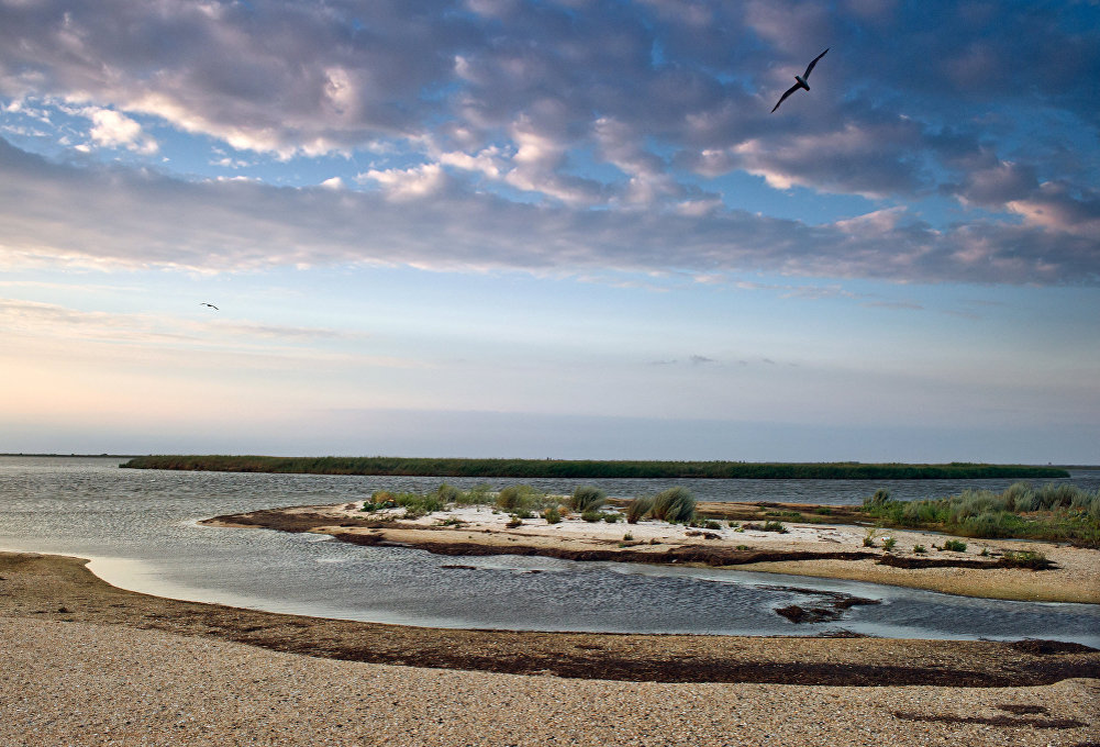 из открытого источника Яндекс.Картинки