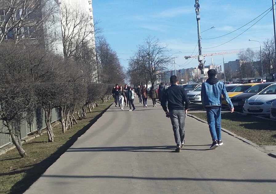 Фото автора.