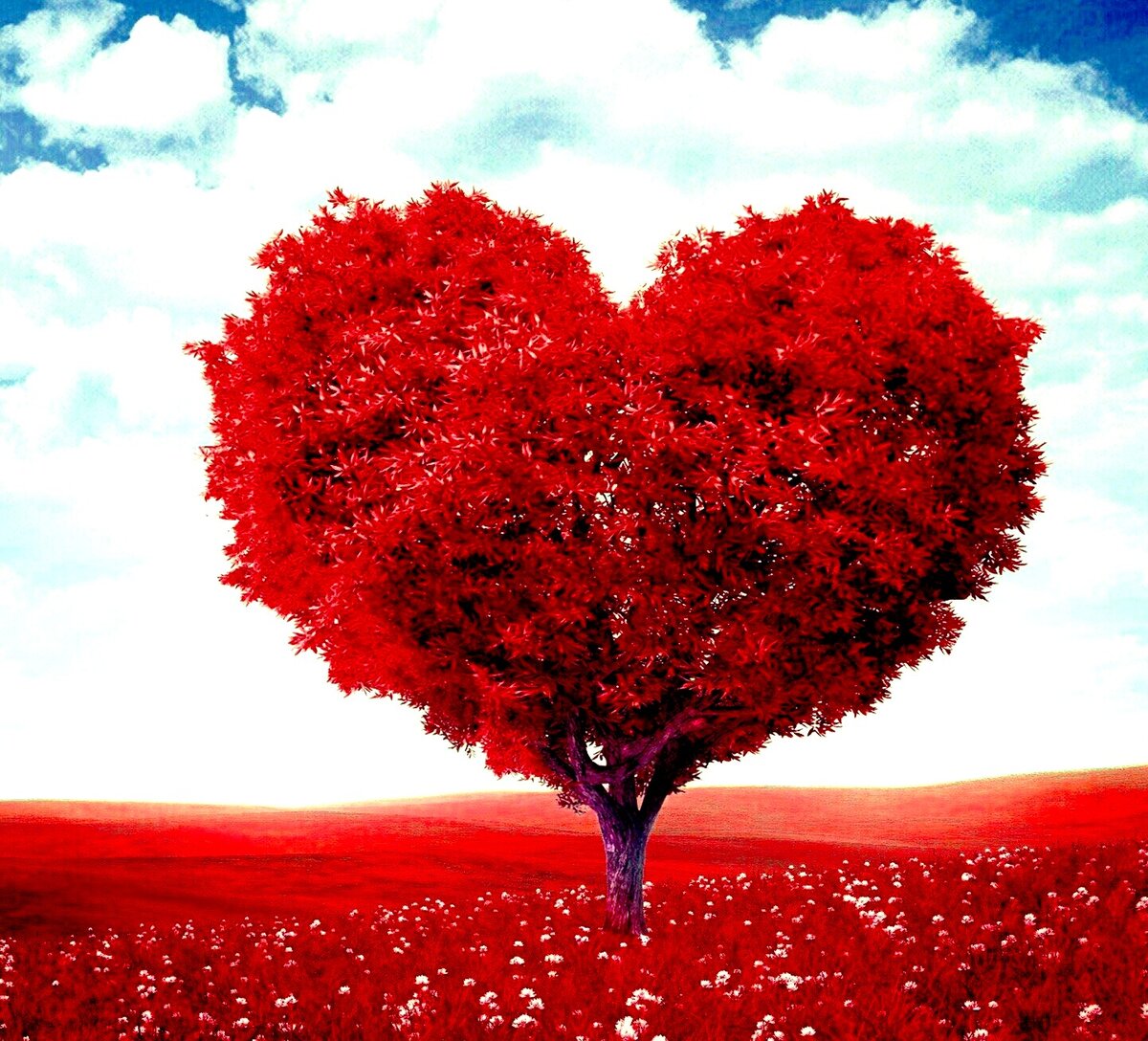 важно доверять человеку, так же как самому себе*