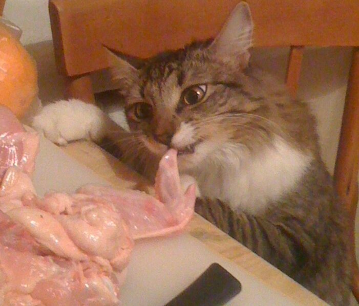 Дефицитная курица нужна всем!