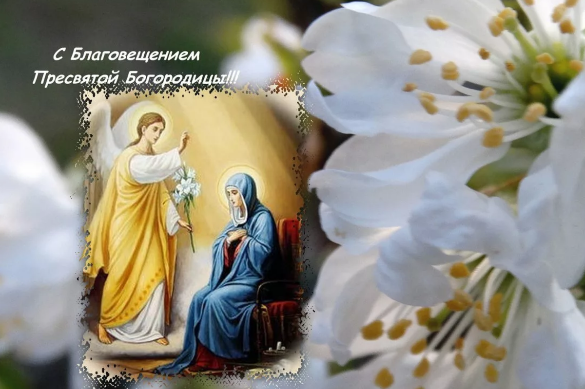 Источник: Яндекс