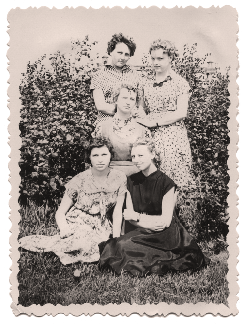 Какие все красивые!