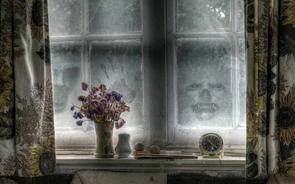 С тех пор я с легкостью верю в подобные истории. Фото из сервиса "Яндекс. Картинки"