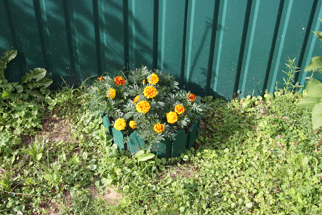 Мини-клумба