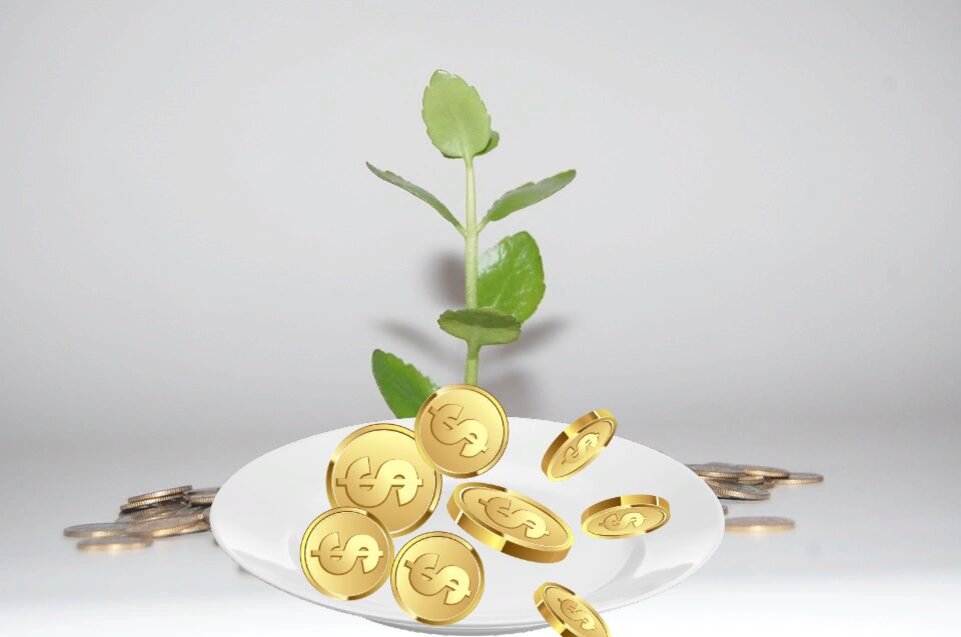 денежный ритуал. денежный мешочек. денежного февраля. денежного февраля. наличный и безналичный денежный оборот.