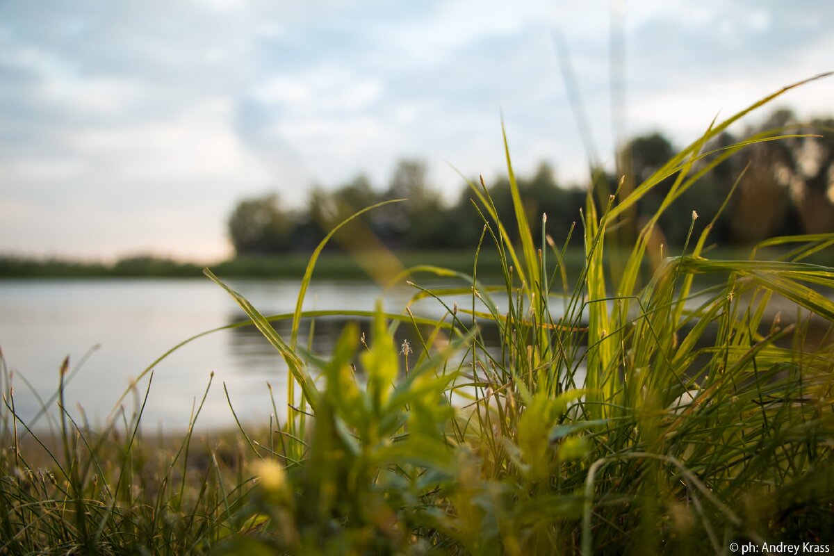 Макросъёмка