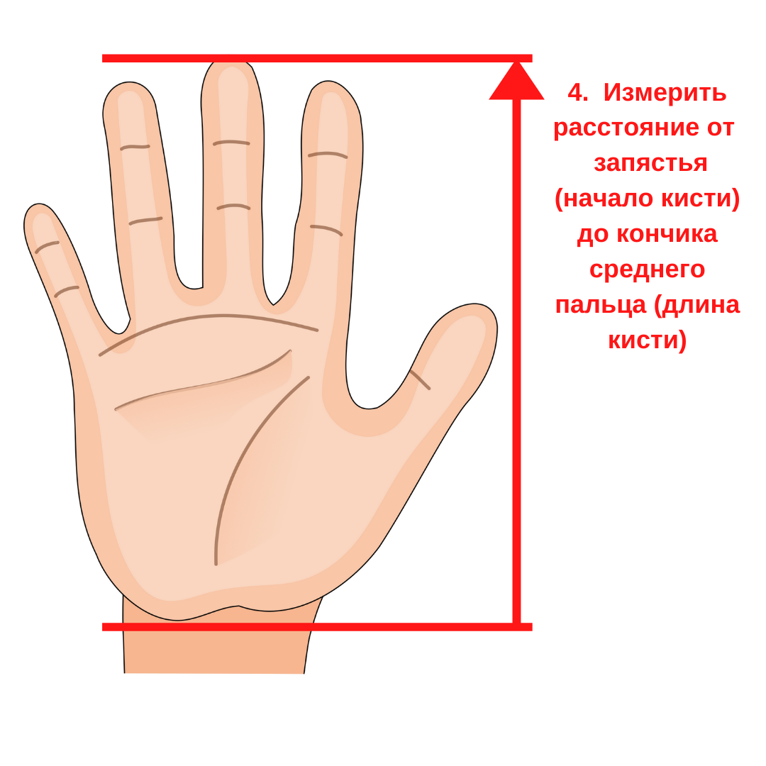 определение размера груди по руке фото 119