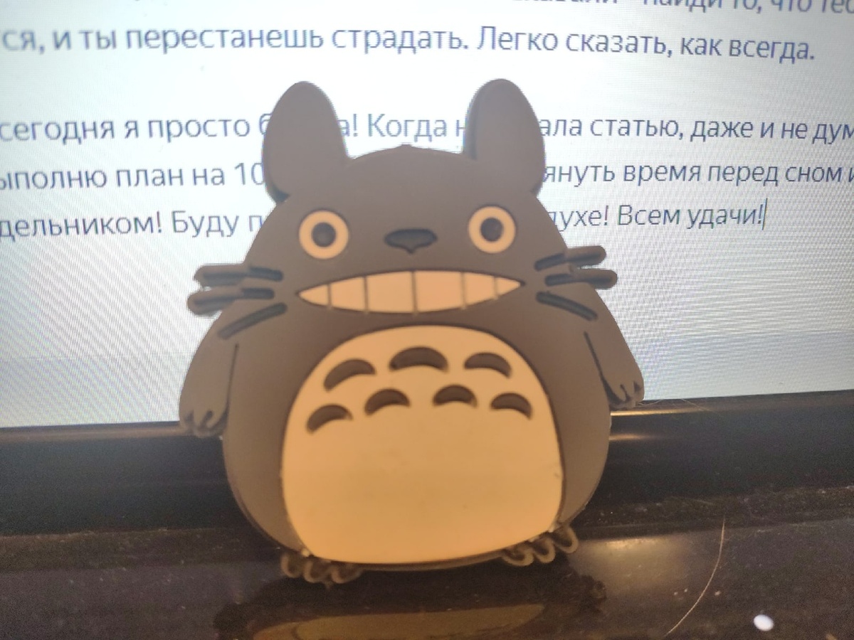 Тотторо мной доволен :)