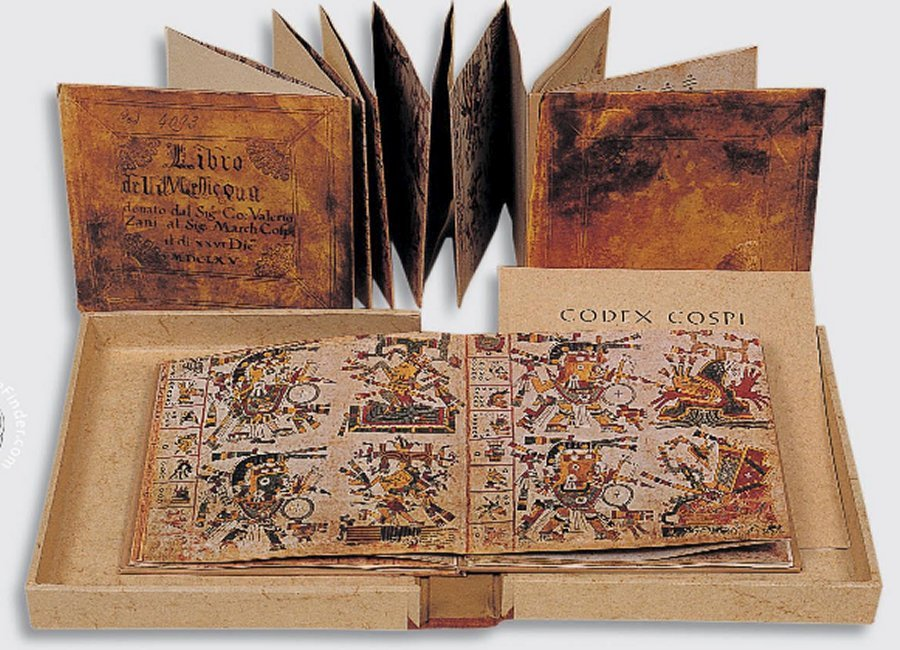 Codex Cospi - это красивая иллюстрированная рукопись, защищенная двумя обложками, сделанными в 17 веке, вероятно, взамен прежних старых деревянных обложек