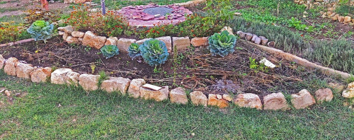 Грядка для роз