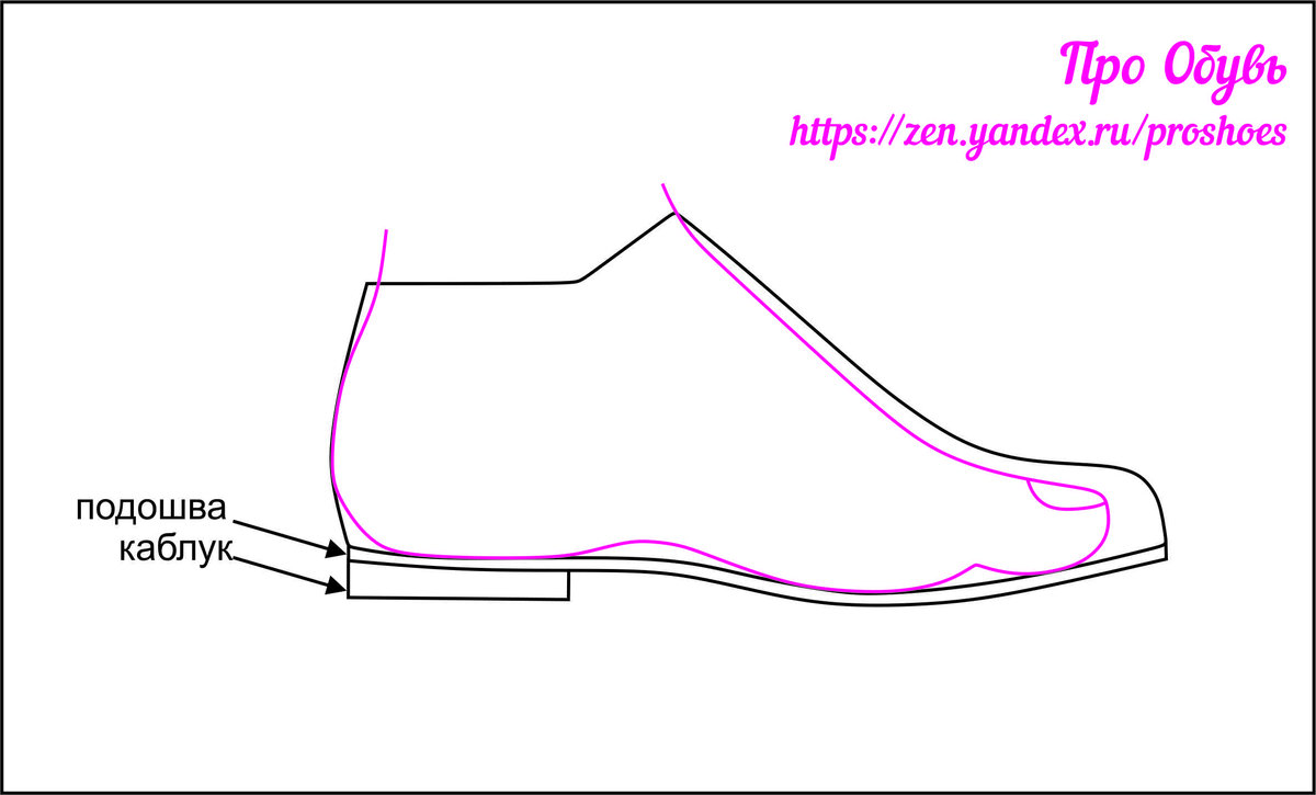 Так в разрезе выглядит стандартная обувь