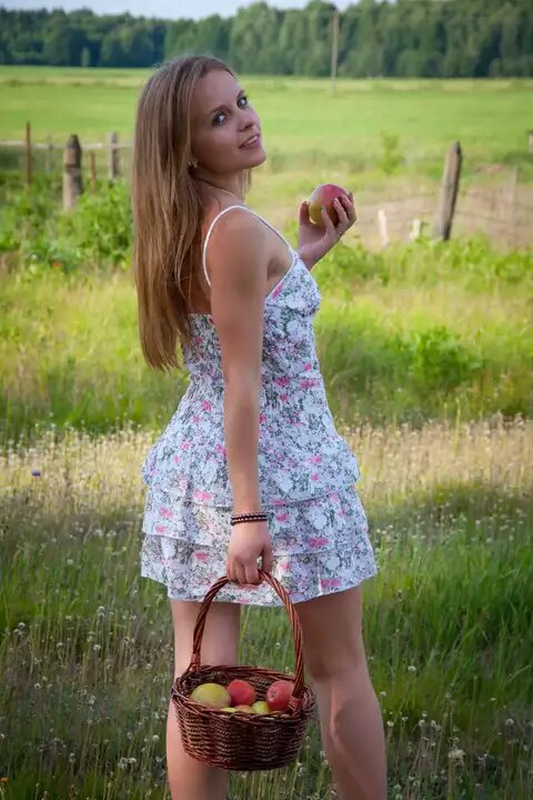 Картинка из Яндекса