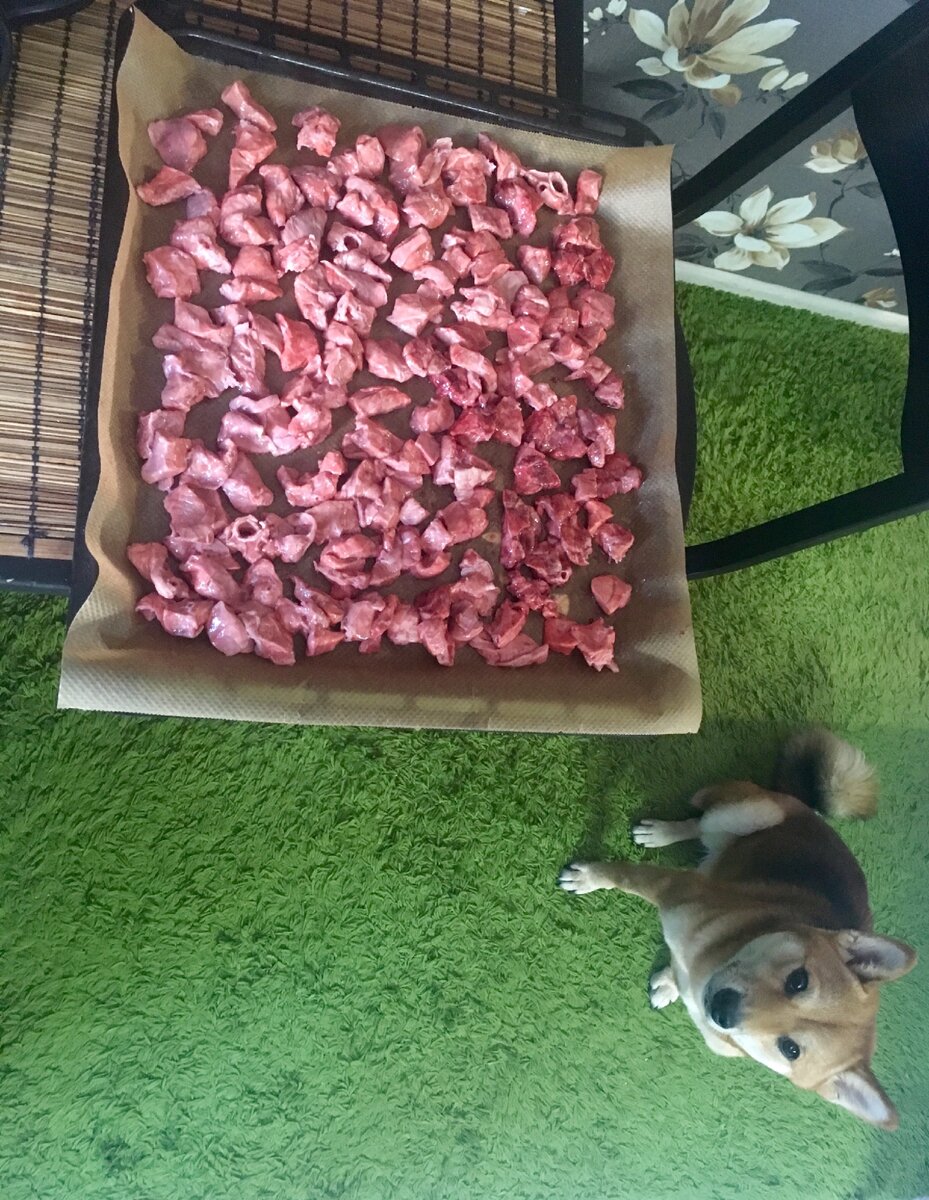 Только успевай сушить вкусняхи))