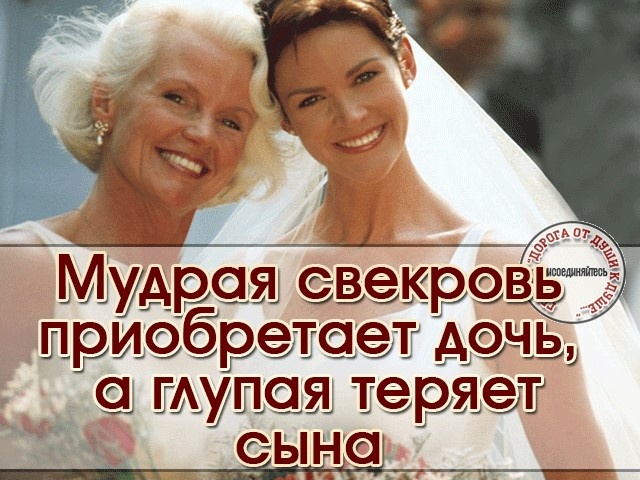 Яндекс. Картинки 