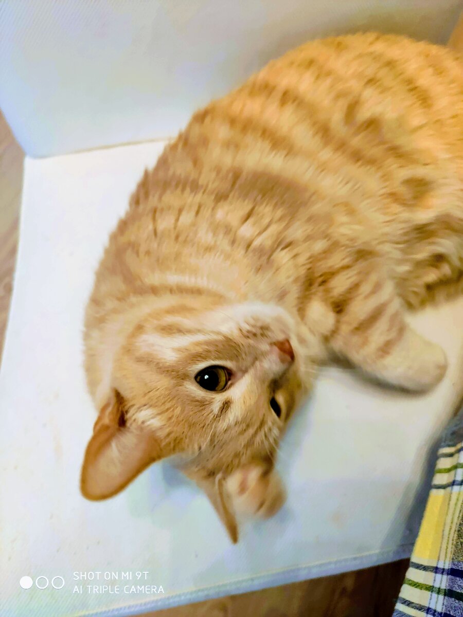 Степан - главный семейный советник, все решения принимаются только с ним...