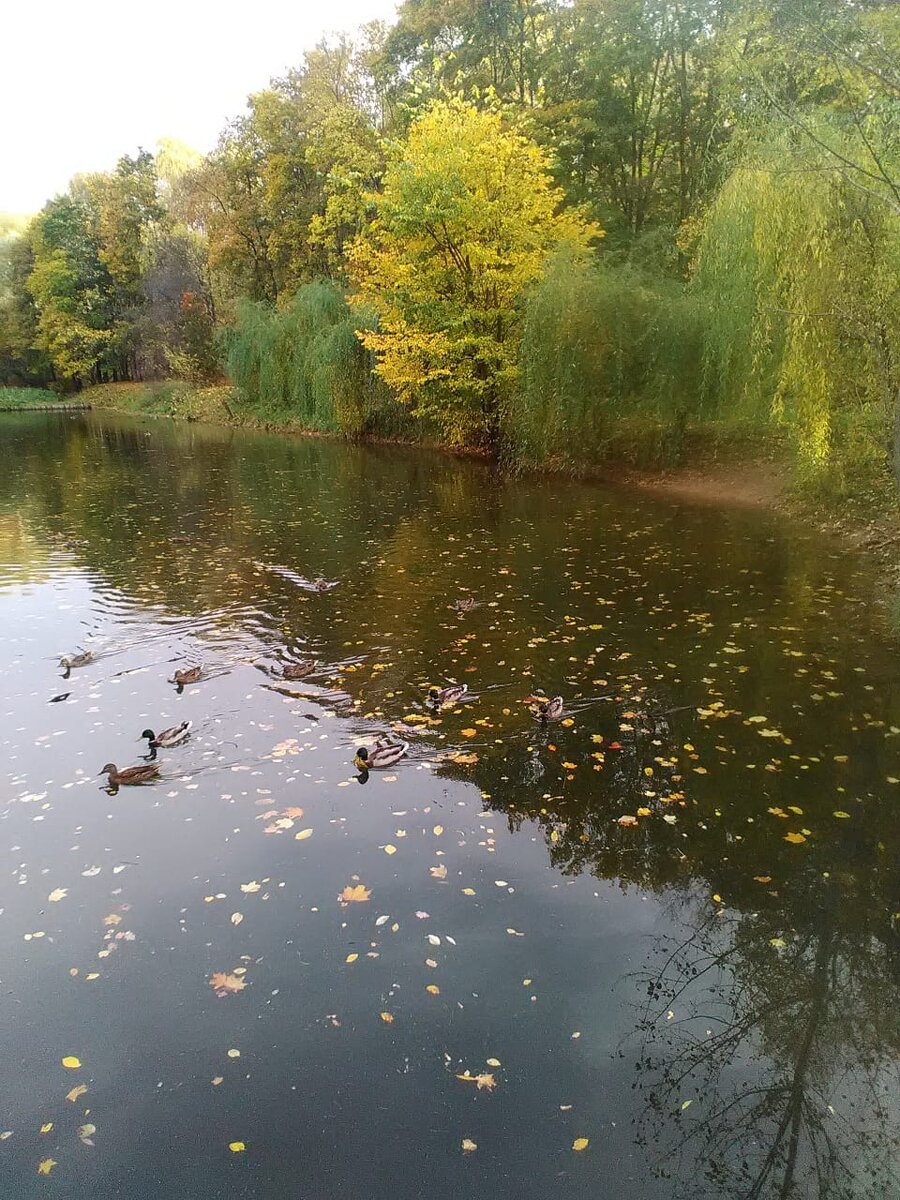 Фото автора