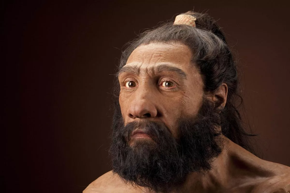 Андерталец. Хомо сапиенс неандерталенсис. Кроманьонец ( homo sapiens).