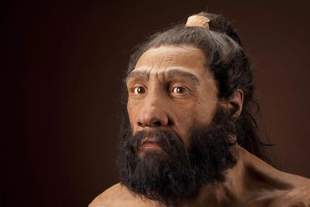 Поразительный вид. Неандерталец (homo Neanderthalensis). Хомо сапиенс Денисовский человек неандерталец. Неандерталец (homo Neanderthalensis) череп.