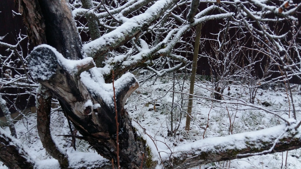 Фото от автора