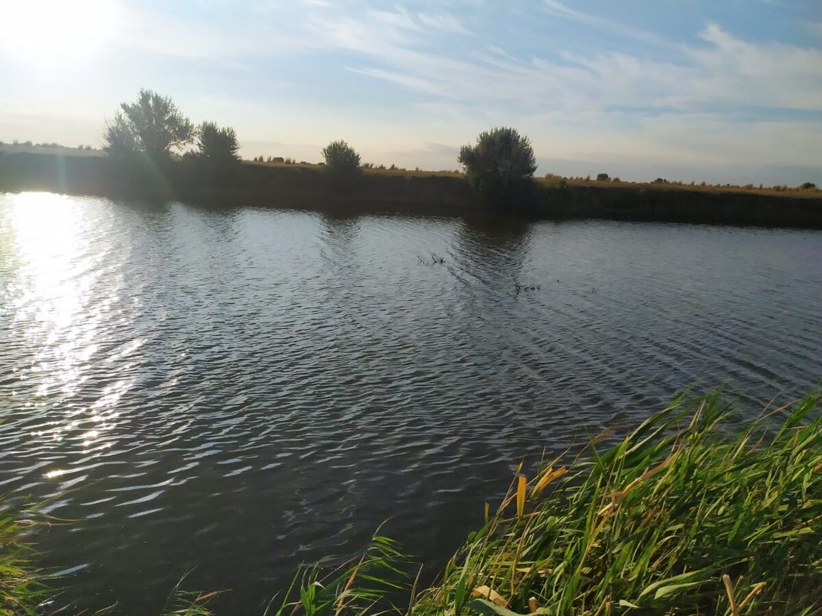 Вот один из последних примеров, где виднеются затопленные деревья. 