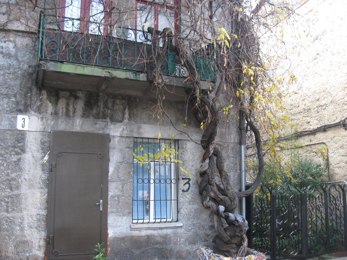 Фото автора, для примера
